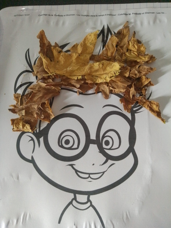 Avec des feuilles d'automne 